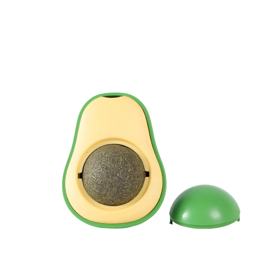 Avocado shaped catnip
