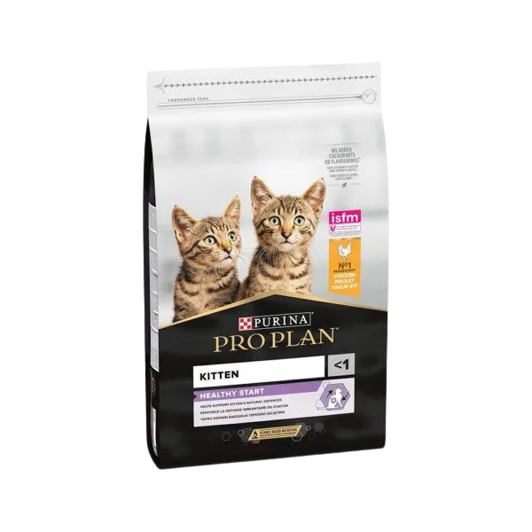 Pro plan kitten