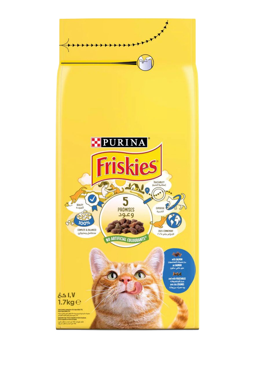 Friskies Salmon