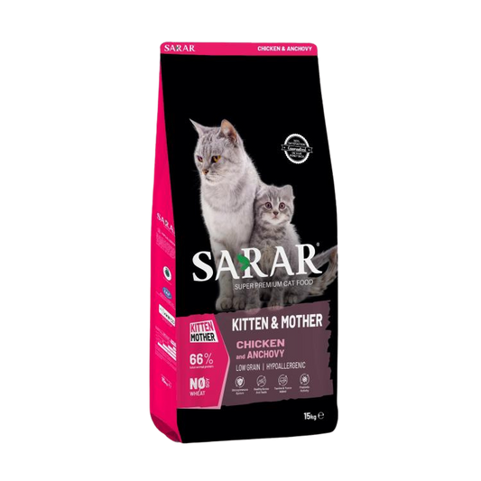 Sarar kitten&mother with chicken