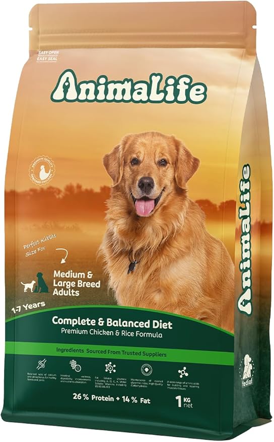 Animal Life Dogs Adults