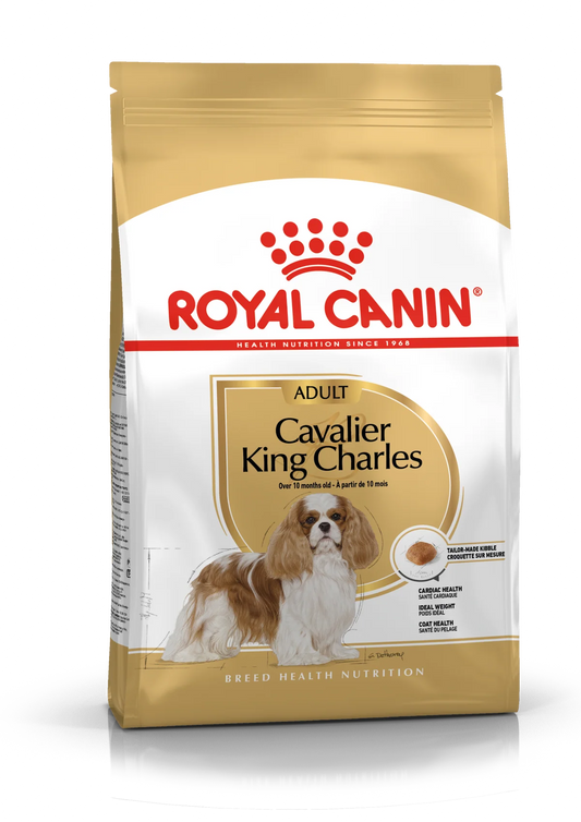Royal Canin Cavalier King Charles Adult