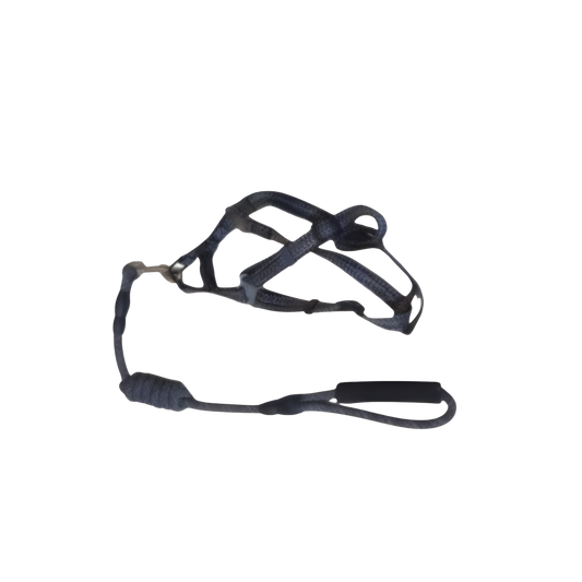 Dog collar for small dogs