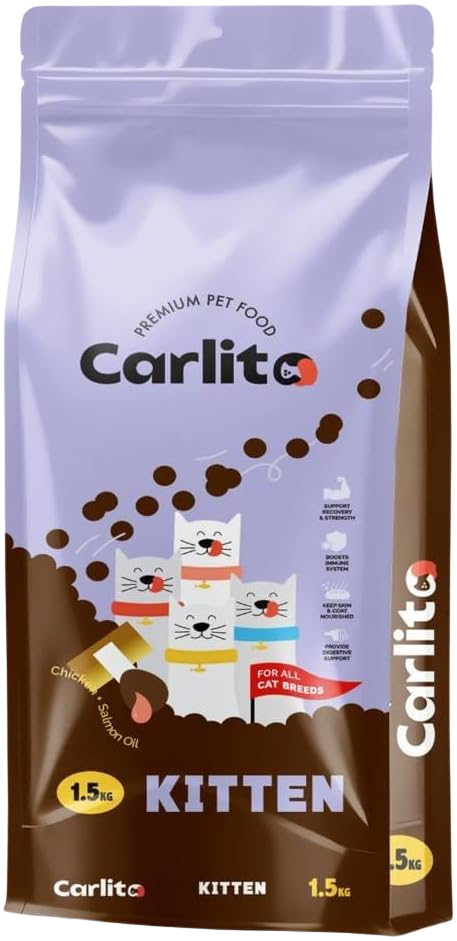 Carlito Cat  kitten