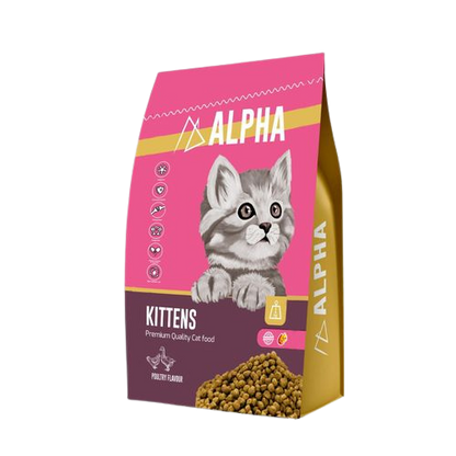 Alpha Cat Kitten